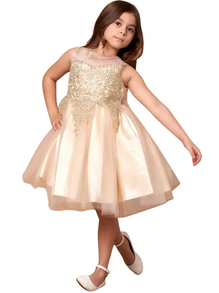 Little Girls Champagne Embroidered Illusion Neckline Flower Girl Dress 4-6