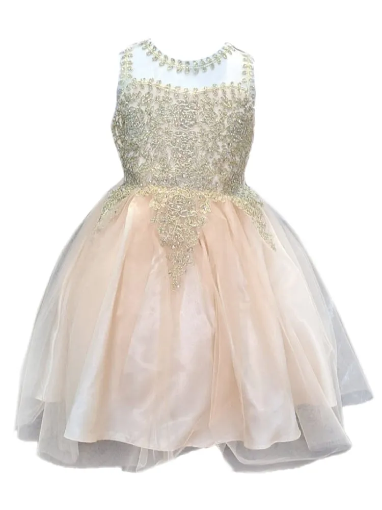 Little Girls Champagne Embroidered Illusion Neckline Flower Girl Dress 4-6