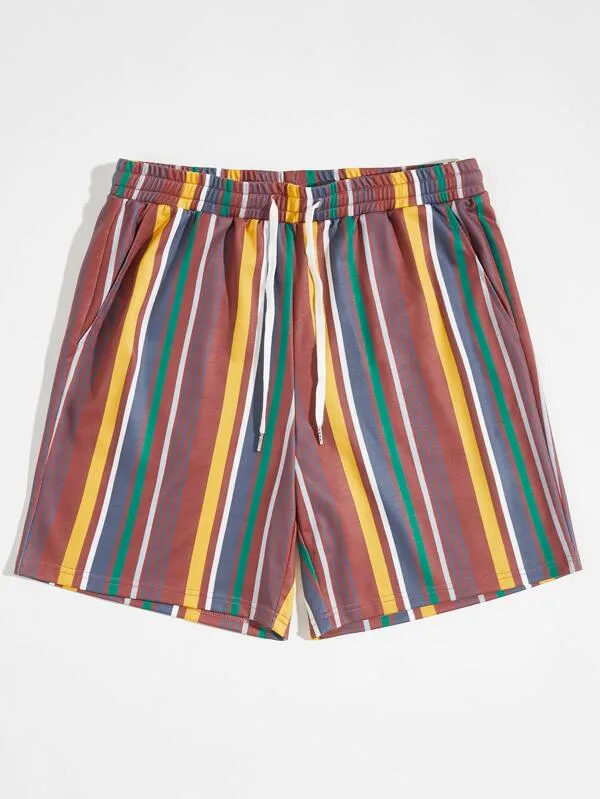 Men Drawstring Waist Striped Shorts